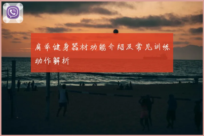 肩举健身器材功能介绍及常见训练动作解析