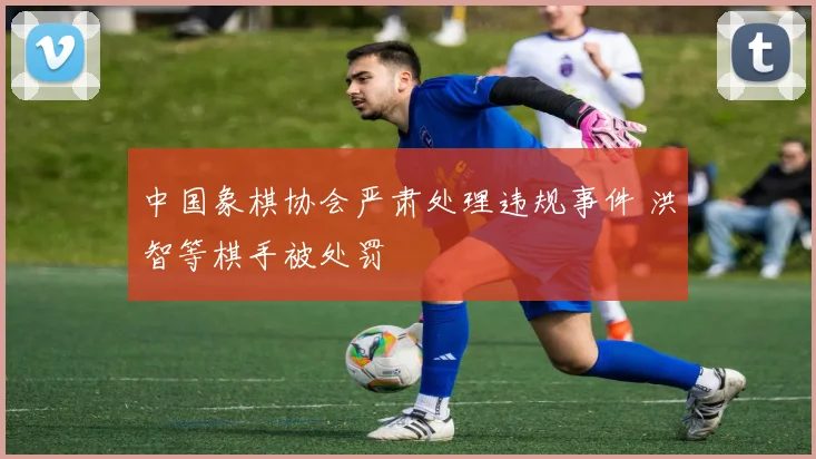 中国象棋协会严肃处理违规事件 洪智等棋手被处罚